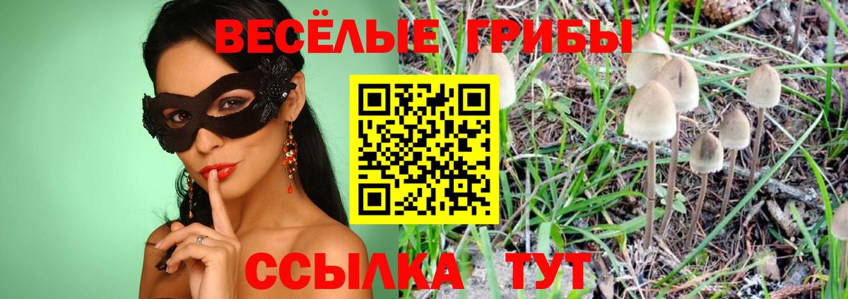Псилоцибиновые грибы мухоморы Назрань