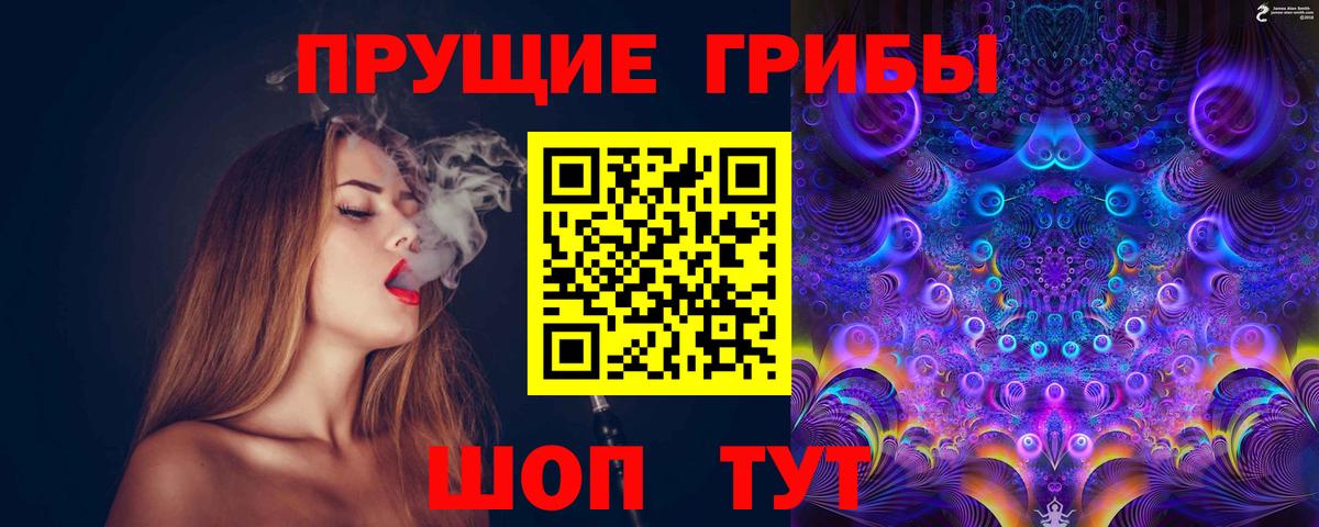 Псилоцибиновые грибы MAGIC MUSHROOMS  Вход с VPN  Назрань 